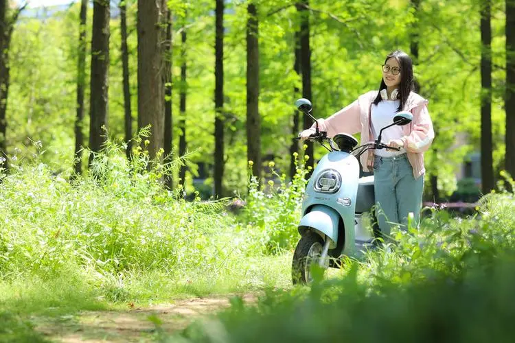 為什么大部分電動車都用鉛酸電池而不是鋰電池？原因是什么？